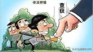 华阴检察：依法受理审查起诉郭某某涉嫌非法狩猎案